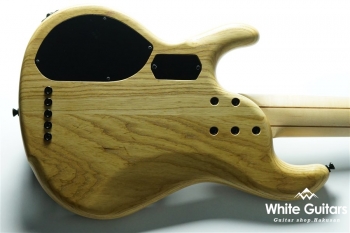 CHB-5/345 CUSTOM - Claro Walnut